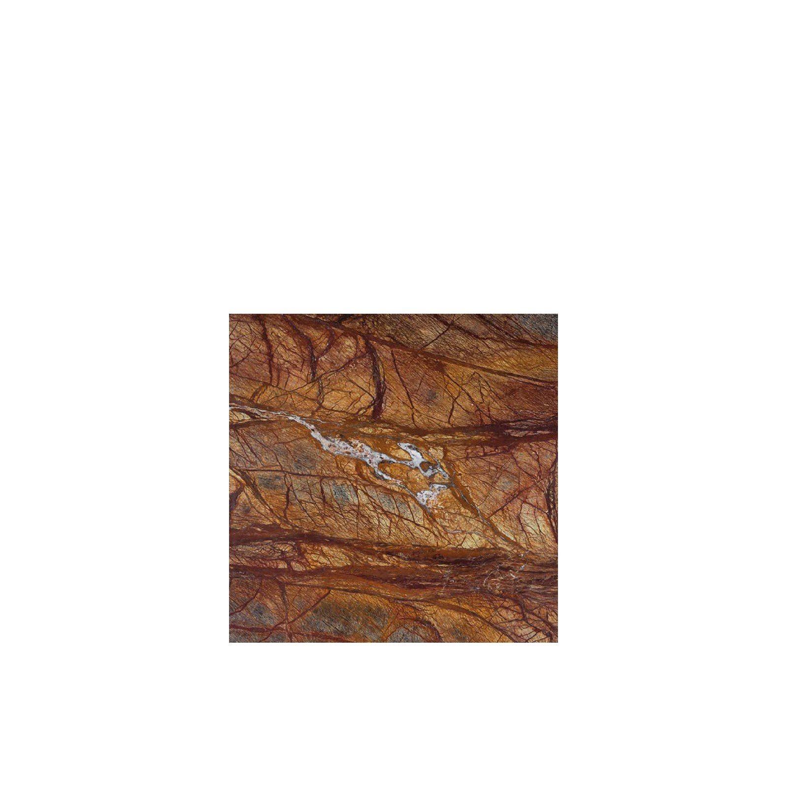 Rain Forest Brown T286