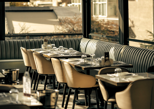 sancrea highlights (6)